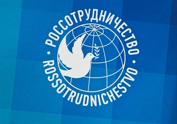 Начальник управления международных связей Нина Орлова приняла участие в онлайн-конференции Россотрудничества