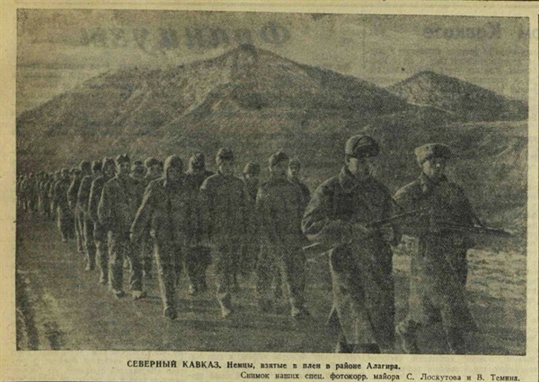 Тайна Алагирского леса: как рассекреченные архивы НКВД открывают имена героев