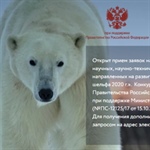 Международный конкурс «Арктика»