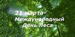 В СКГМИ (ГТУ) пройдет экологическая акция по сбору макулатуры