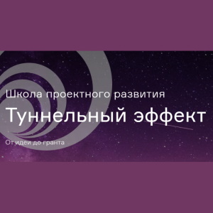 Школа проектного развития «Туннельный эффект»